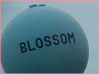 Blossom, Texas water balloon
