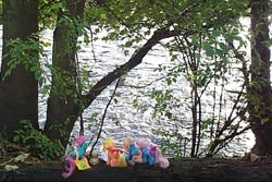 The ponies look at the river