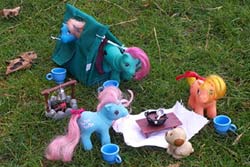The ponies having supper